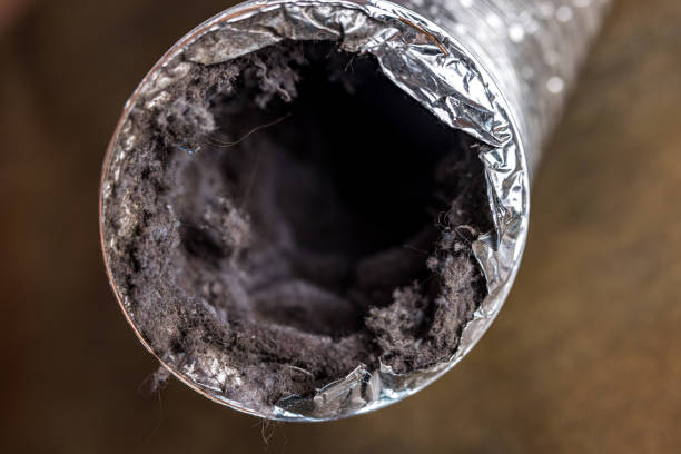 Best Professional Duct Cleaning Services  in Gustine, CA